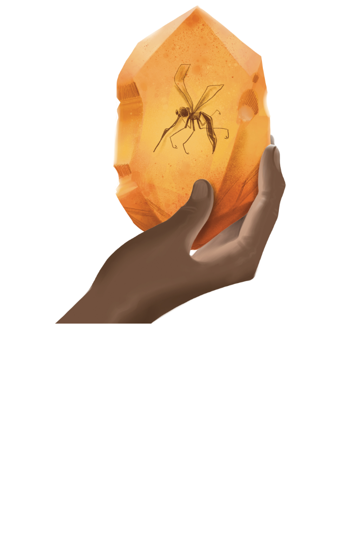 Fossil held in hand.